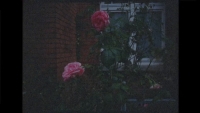 https://www.september-klakow.com/files/gimgs/th-17_BFA_Still_1_00094747.jpg